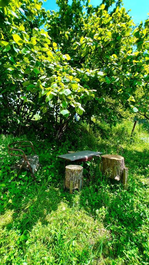 Mountain Top Getaway In Dilijan! Zewnętrze zdjęcie
